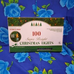VTG Everglow Extend-a-Lights GREEN 100 Bulb Light String Christmas 1883-05MD